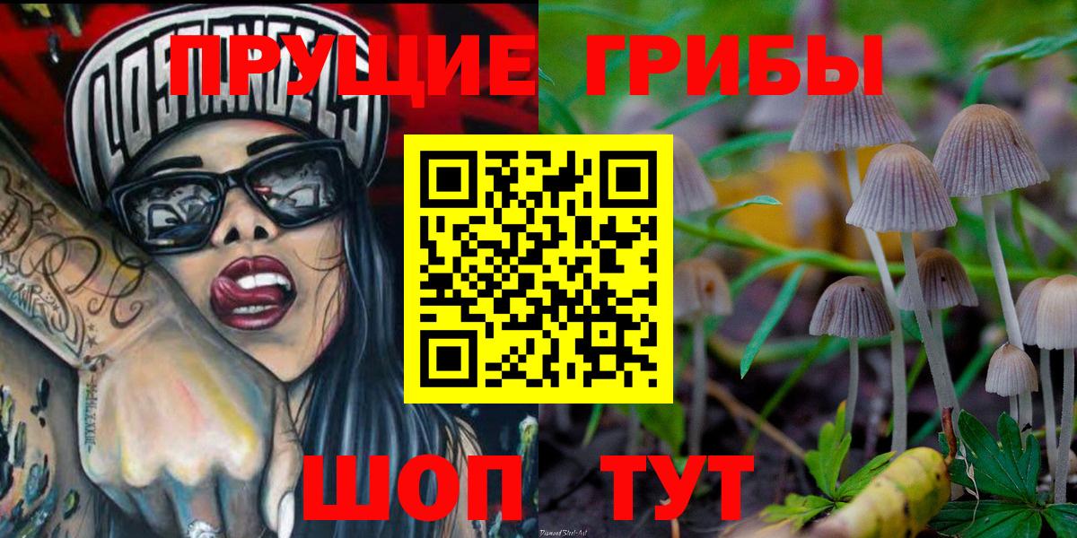 где продают   Псилоцибиновые грибы Cubensis  Туапсе  Вход с VPN  Галлюциногенные грибы Magic Shrooms 